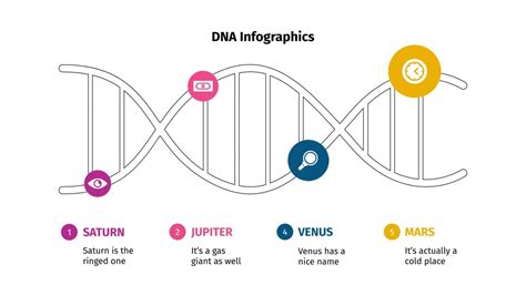 Free DNA Infographics for Google Slides and PowerPoint