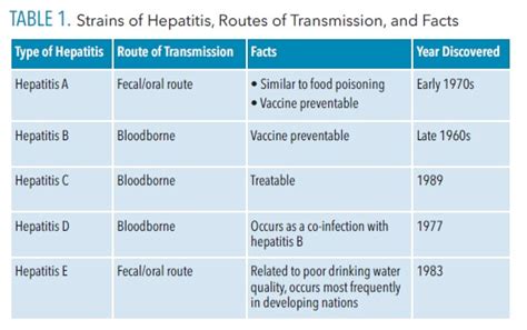 Everything You Need To Know About The Hepatitis C Virus Dimensions Of