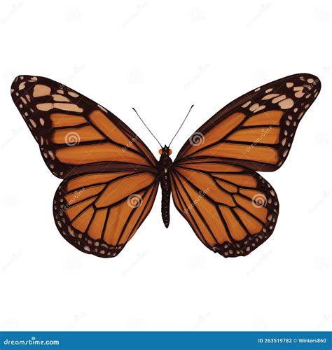 Orange Butterfly Insect Variation 3 Digital Art by Winters860 Isolated