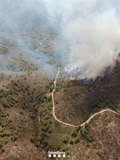 Extinguidos Los Dos Incendios Forestales De Tivissa Tarragona