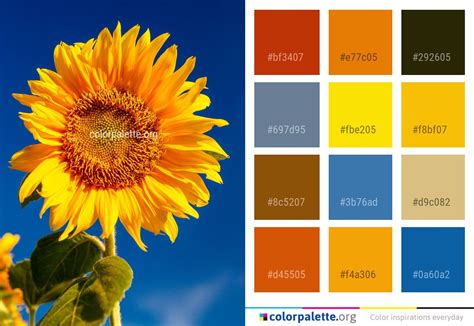 Sunflower Yellow Paint Color - SUNFLOWER