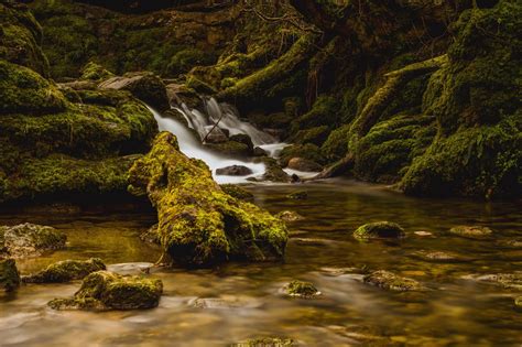 Yorkshire Waterfalls: Janet's Foss