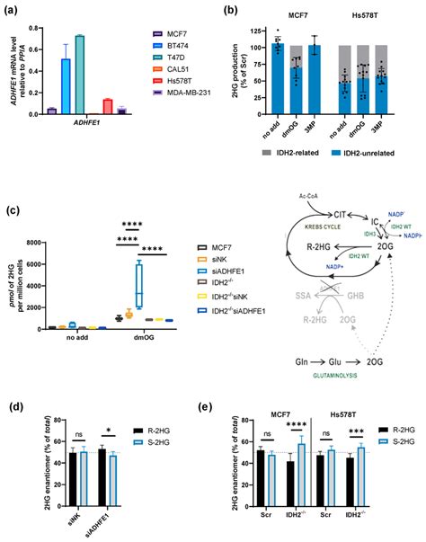 2hg Production By Idh2 And Adhfe1 A Quantification Of The Expression