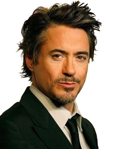 Download Robert Downey Jr Hq Png Image Freepngimg