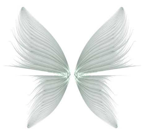 Wings Transparent Background Transparent Hq Png Download Freepngimg