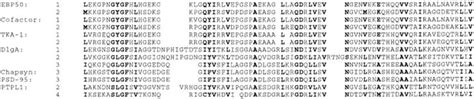 Alignment Of The Two Pdz Domains Of Human Ebp Rabbit Cofactor And