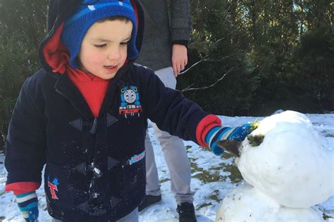 Snowfall In Tasmania Ushers In First Day Of Winter Abc News