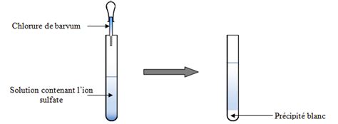 Laboratoire Du Web Chimie Chap 3 Les Tests De Reconnaissance D Ions