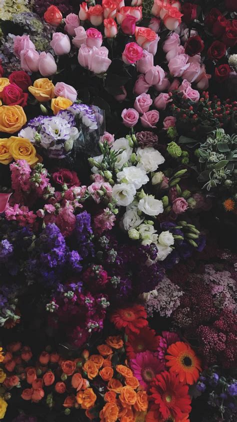 Beautiful Flower Arrangement for Home Decor