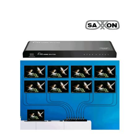 Saxxon Lkv Hdr V Divisor Hdmi De Entrada Y Salidas Ultra