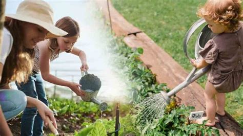 A quelle heure vous devez arroser les légumes de votre potager pour une