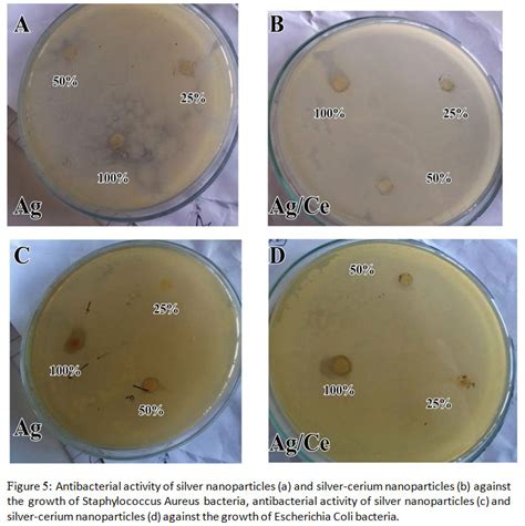 Characterization Of Enhanced Antibacterial Effects Of Silver Loaded