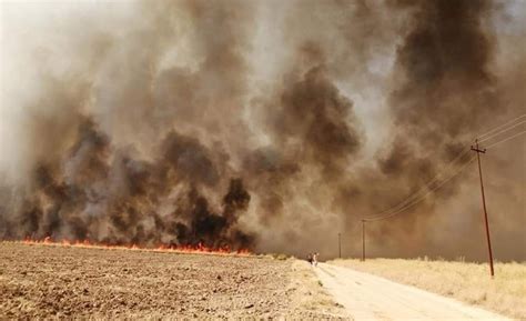 Irak daki tarla yangınlarının sebebi belli oldu Trabzon Haber Haber61