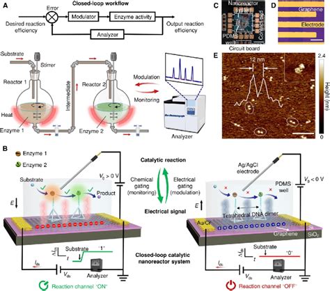 Closed Loop Catalytic Nanoreactor System On A Transistor A