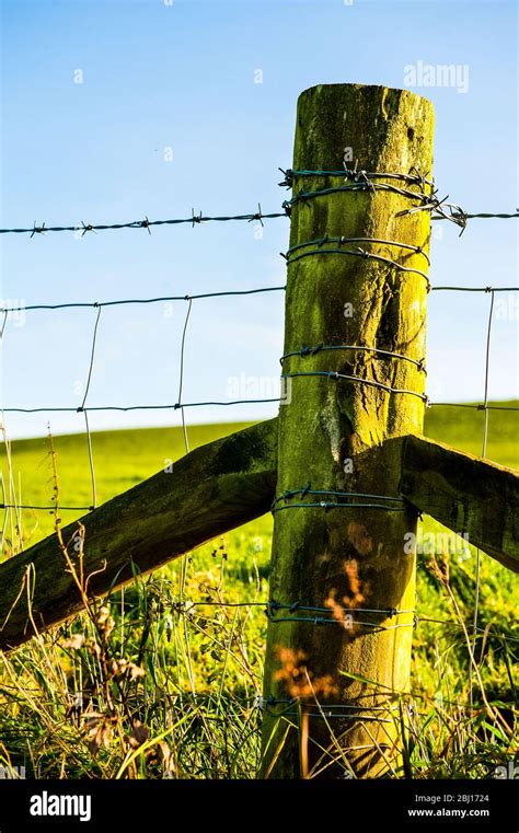 Fence Line The Typical Wood Post And Barbed Wire Barrier Uk Stock