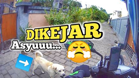 MAU AMBIL ORDERAN MASUK GANG MALAH DIKEJAR ANJING PAPA MAXI