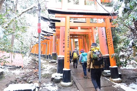 京都トレイル①稲荷山・今熊野山・清閑寺山・清水山・東山 カヨさんの大文字山・如意ヶ嶽・稲荷山の活動日記 Yamap ヤマップ