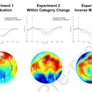 The N Effect In Experiment Upper Panels Show Erp Plots Of