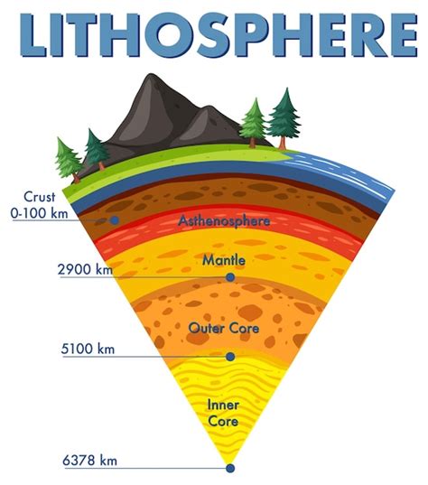 Diagrama Que Muestra Las Capas De La Litosfera Terrestre Vector Gratis