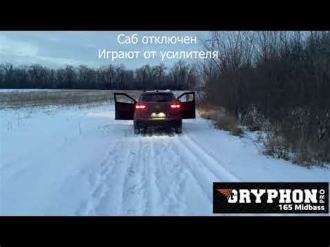 Настоящий эстрадный мидбас. Gryphon Pro 165 Midbass - YouTube