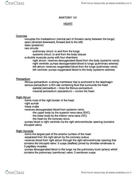 ANAT 101 Study Guide Winter 2013 Circumflex Branch Of Left