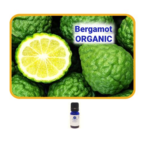 Bergamot Organic Essential Oil Essentially Grateful