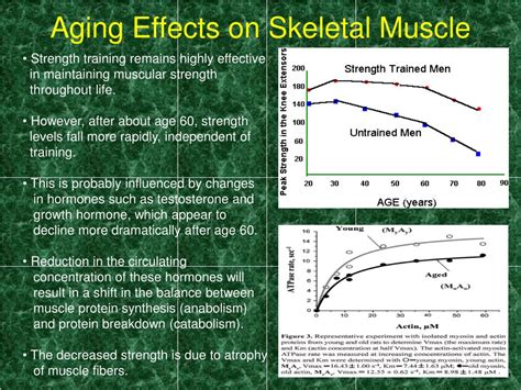 Ppt Importance Of Resistance Exercise And Muscle Strengthening In