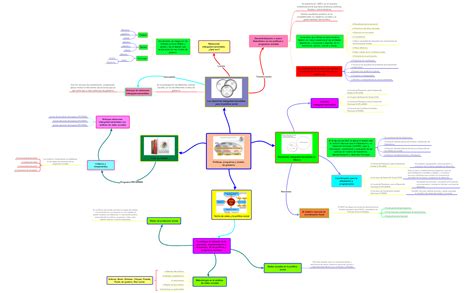 Arriba 60 Imagen Proceso Legislativo Mapa Mental Abzlocal Mx