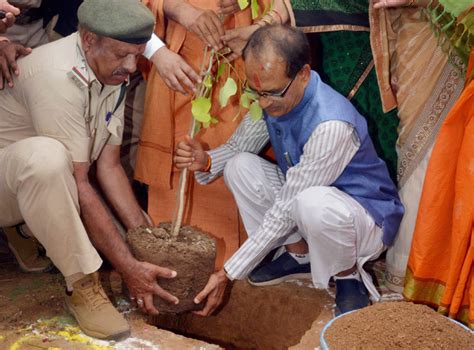 Mp Eyes Guinness World Record By Planting Crore Saplings India News