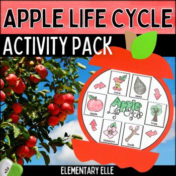 Apple Life Cycle Activity Pack With Student Craft By Elementary Elle