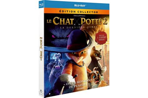 Le Chat Pott La Derni Re Qu Te Edition Collector Breakforbuzz