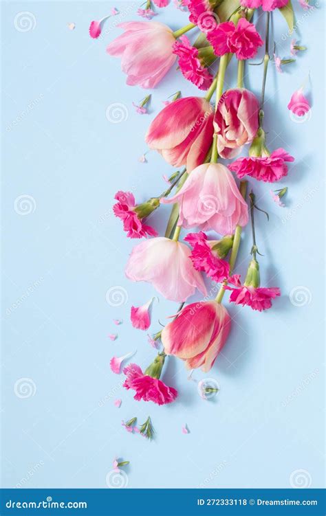 Beautiful Spring Flowers on Blue Background Stock Photo - Image of ...