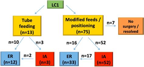 Injection Augmentation And Endoscopic Repair Of Type 1 Laryngeal Clefts Development Of A