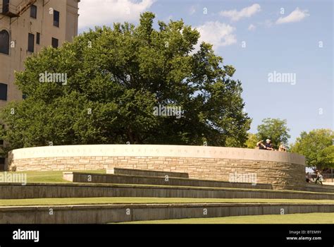 Survivor Tree at Oklahoma City National Memorial USA Stock Photo - Alamy