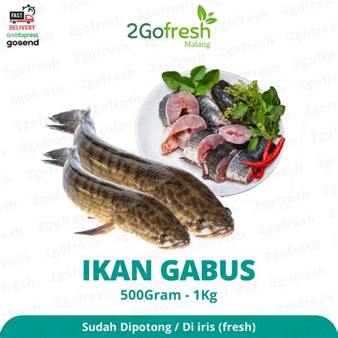 jual ikan gabus fresh  dipotong sayur sayuran shopee indonesia