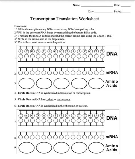 Teach DNA With These Top Transcription And Translation Worksheet - The ...