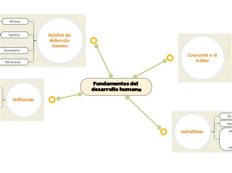 Fundamentos Del Desarrollo Humano Mind Map Hot Sex Picture