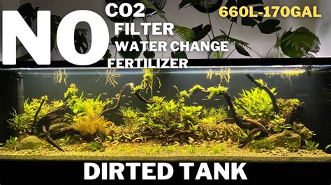 Aquascape Tutorial How To Make A Natural Planted Dirted Tank Low