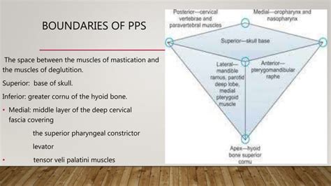 Parapharyngeal space