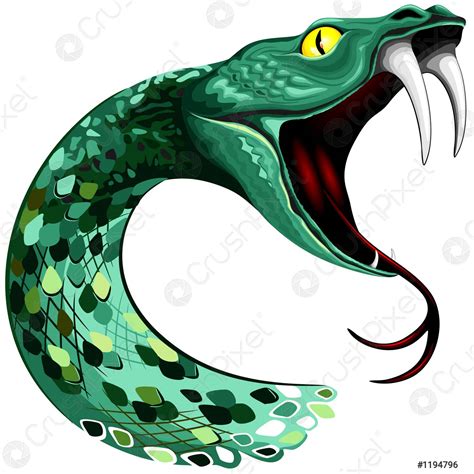 Snake Head with big fangs on open mouth vector illustration - stock ...