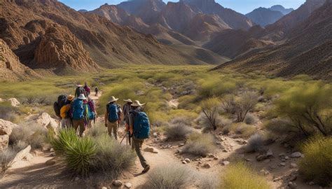 Where Is The Mojave Desert - Explore America's Vastness