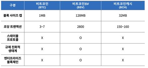 비트코인svbsv란 Btcbch와 차이는 Bsv 코인 시세 전망은 Btcc