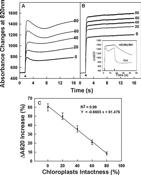 Original Traces Of Far Red Light Induced Oxidation Kinetics Of P700 Download Scientific Diagram