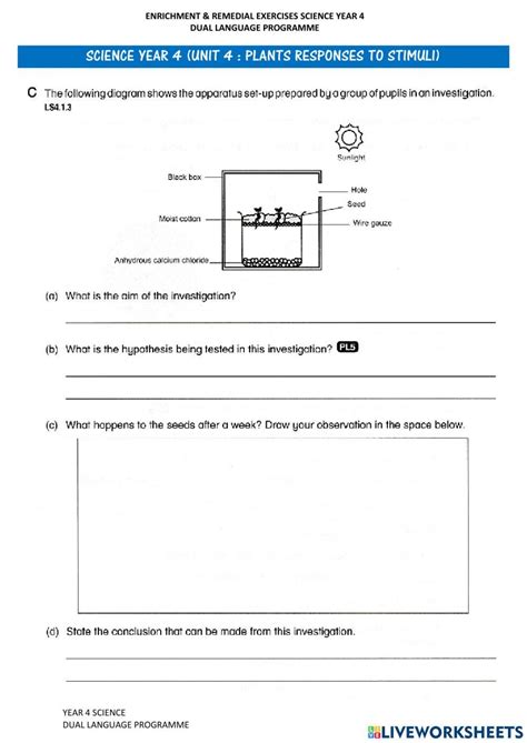 Plants Response To Stimuli Set 2 Worksheet Live Worksheets