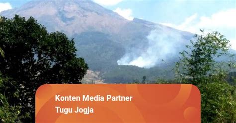 Hutan Di Lereng Gunung Sumbing Kembali Terbakar