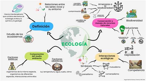 mapa myśli ekologia puzzle online