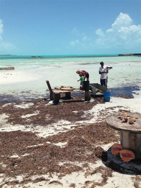 Traveling with Tykes : Turks and Caicos