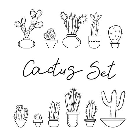 Cactus Set Doodle Style Black And White Vector Illustration Mexican