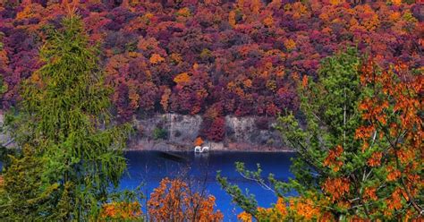 Upstate NY fall foliage map: Sneak in some final leaf peeping in the ...