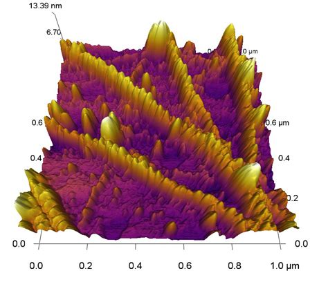 Atomic force microscope will investigate muscle movement at molecular ...